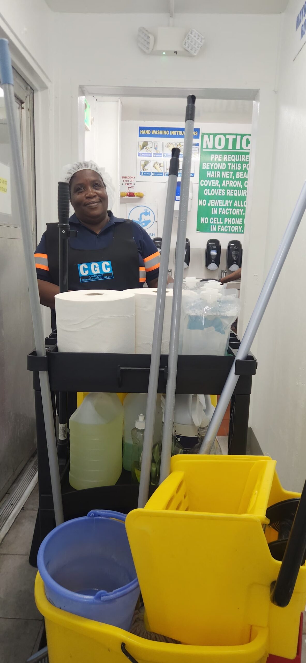 Janitorial services