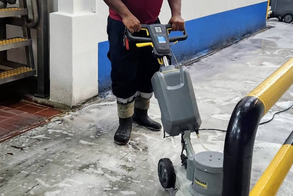 Food Plant Cleaning