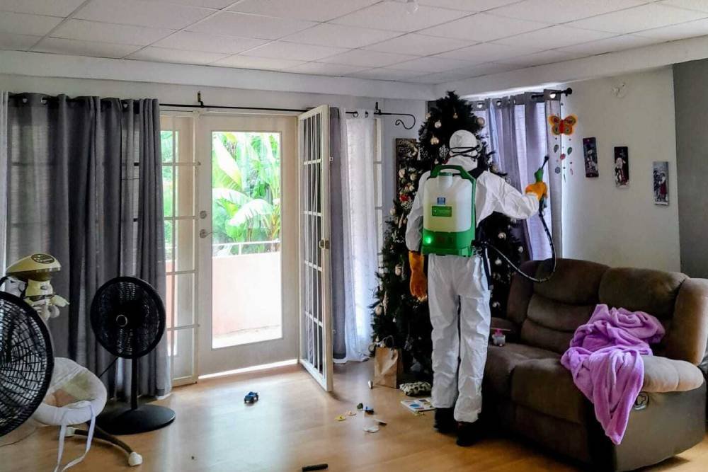 Mold Remediation